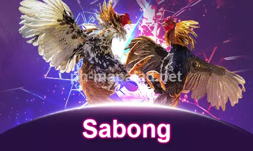 Sabong
