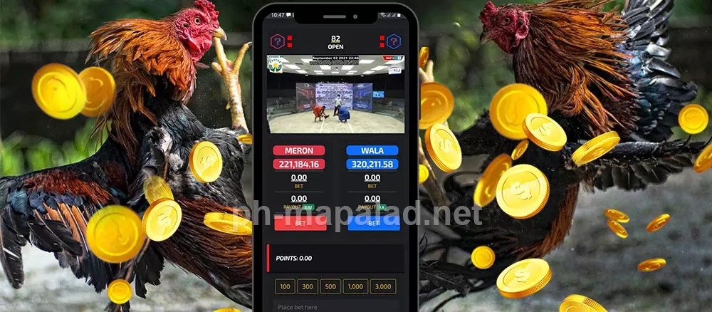 Win in Sabong Betting